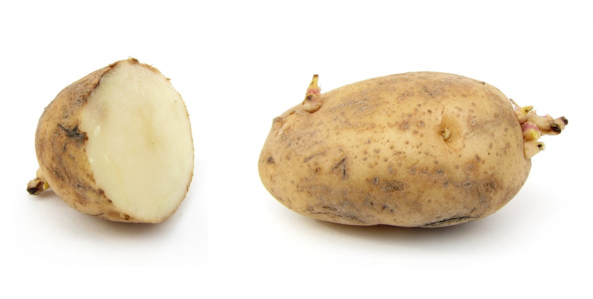 Potato - dehydrated and sliced