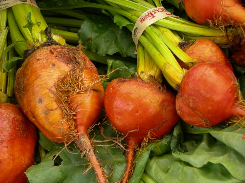 Red-orange root vegetable 01