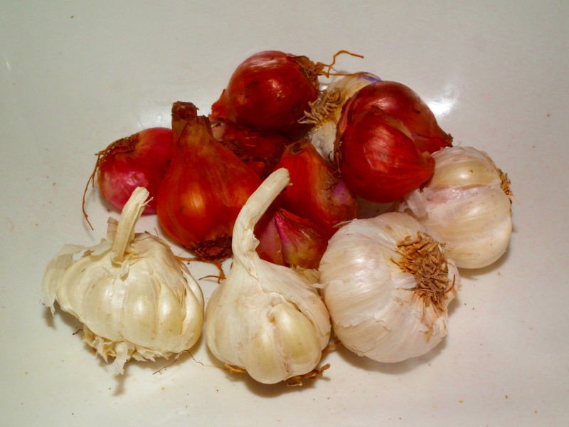 Shallot and Garlic in a plate (Chuvannulli-ml and Veluthulli-ml)