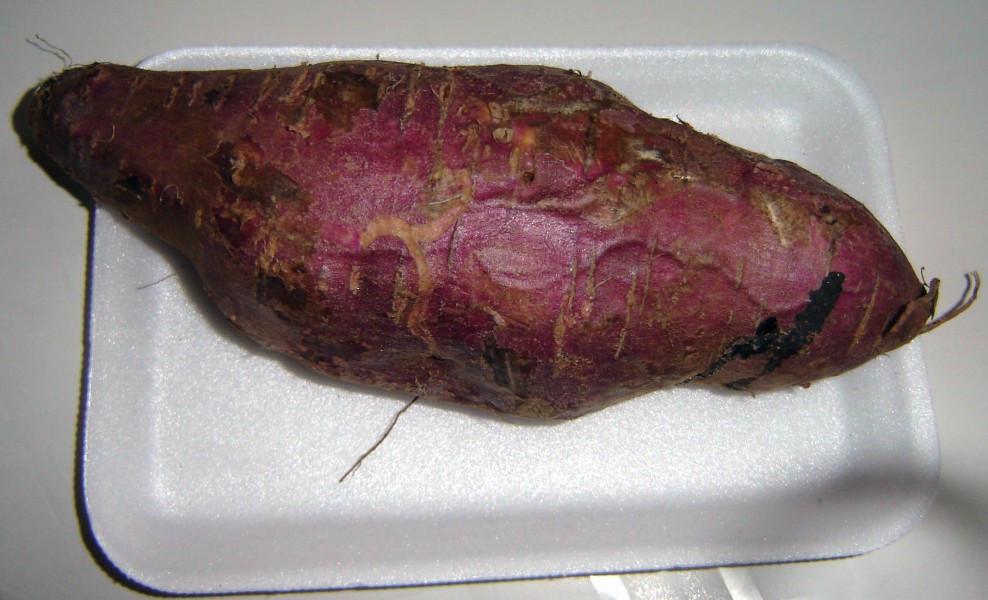 Sweet potato brazil