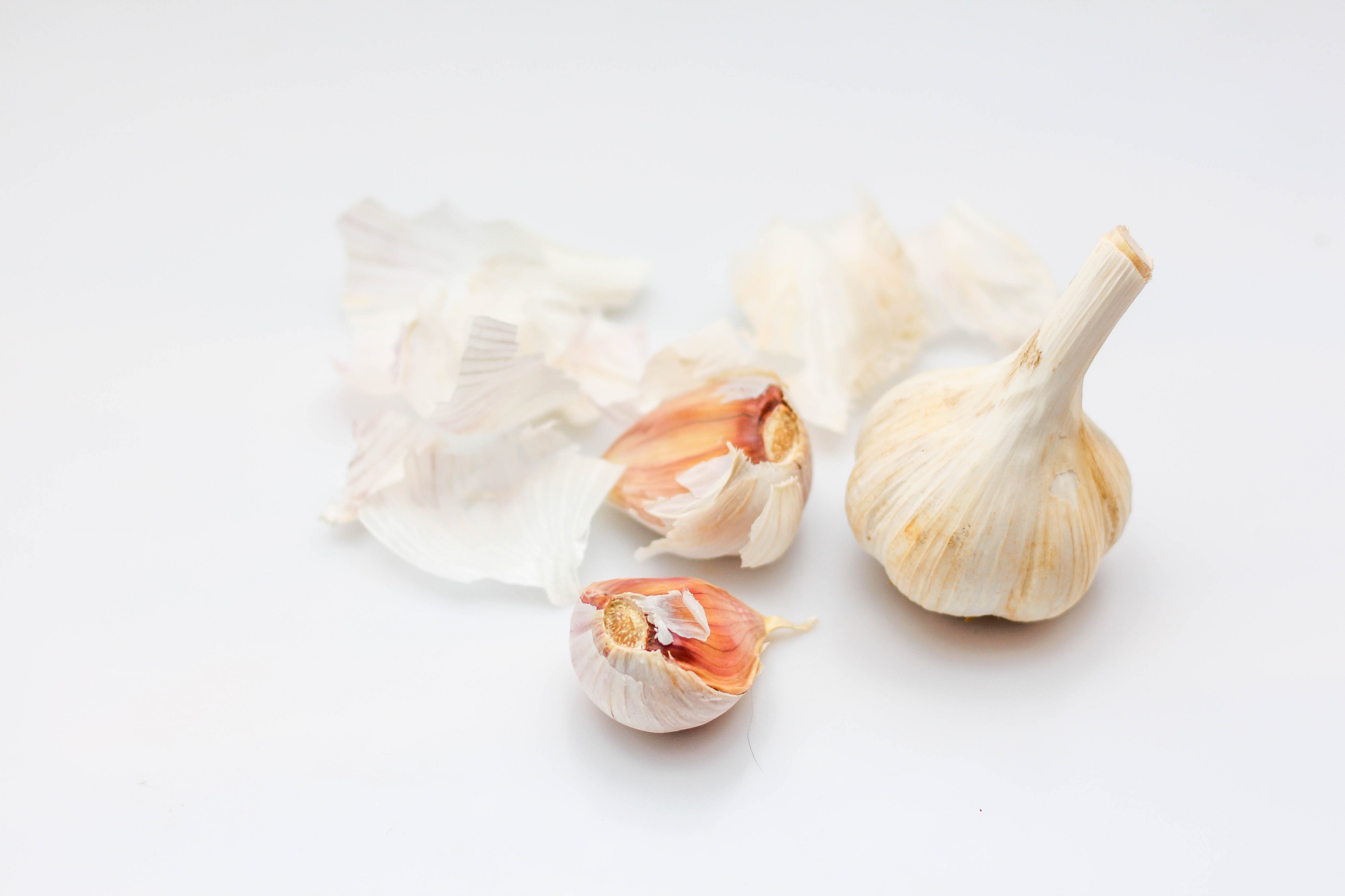 Garlic on a White Background (24303344948)