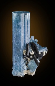 Beryl, Schorl



Locality: Erongo Mountain, Usakos and Omaruru Districts, Erongo Region, Namibia (Locality at mindat.org)
Size: small cabinet, 8 x 4 x 2.8 cm

Aquamarine with Schorl


This is a superb, dramatic specimen that while not the biggest, somehow seems to have more oomph than most pieces. It has deeper color, and a more clean aesthetic style, than others from the find that I have seen. The crystal is freestanding, complete all around. The color as you see here is spot on, very intense. Also , it is nearly pristine with just the most minor of edge wear - but more so than nearly any other large crystal in the lot. Most of the more exposed crystals from this pocket, and locale, have significantly more chatter to them. The lustre is excellent especially for this locality, from which most aquas are relatively more dull. The symmetry, sharp form, and straight vertical display here make this, for my taste, one of the best in its size class out of 500 pieces or so from the pocket which I have seen. A premium price compared to others of its size, admittedly, but depending on your personal style and what you wish to see in these aquas, it may be 