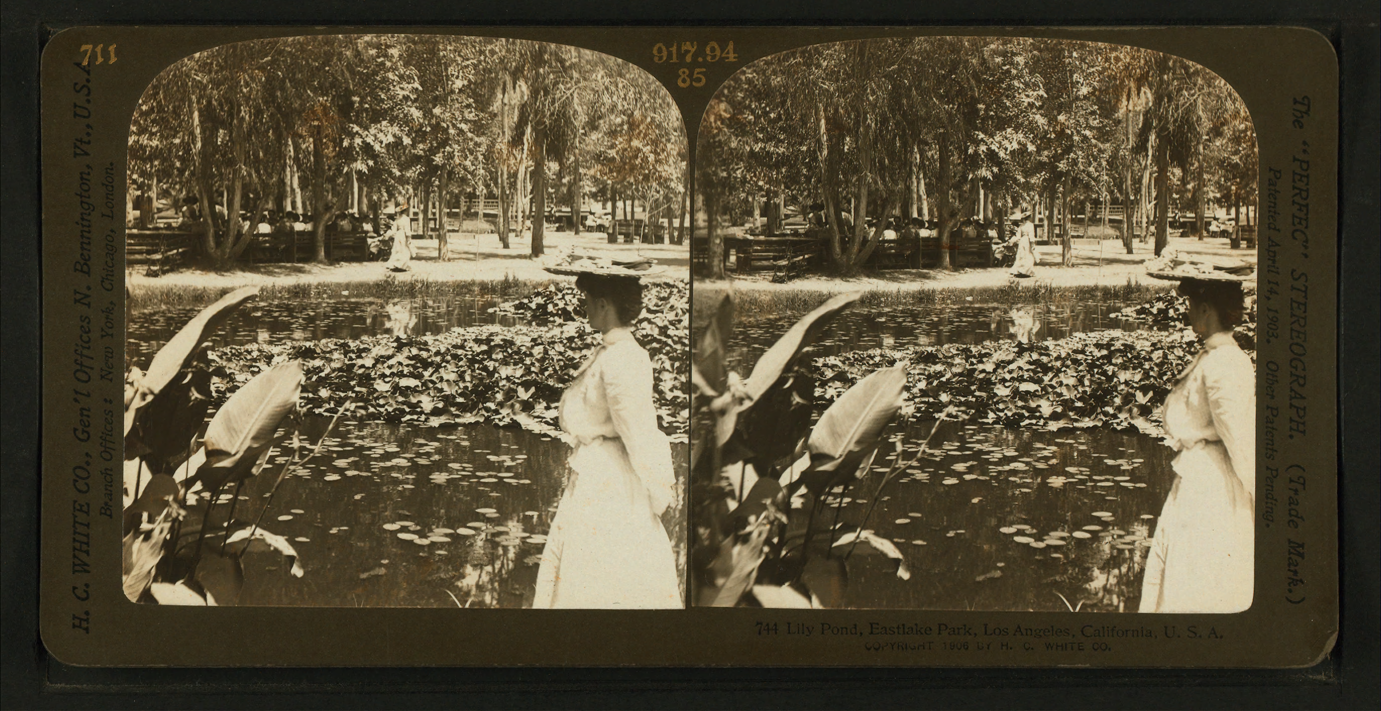 Lily Pond, Eastlake Park, Los Angeles, California, U.S.A, from Robert N. Dennis collection of stereoscopic views