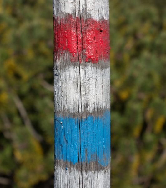 Hiking signs on a wooden stick - Jeseniky, Czech Republic 15
