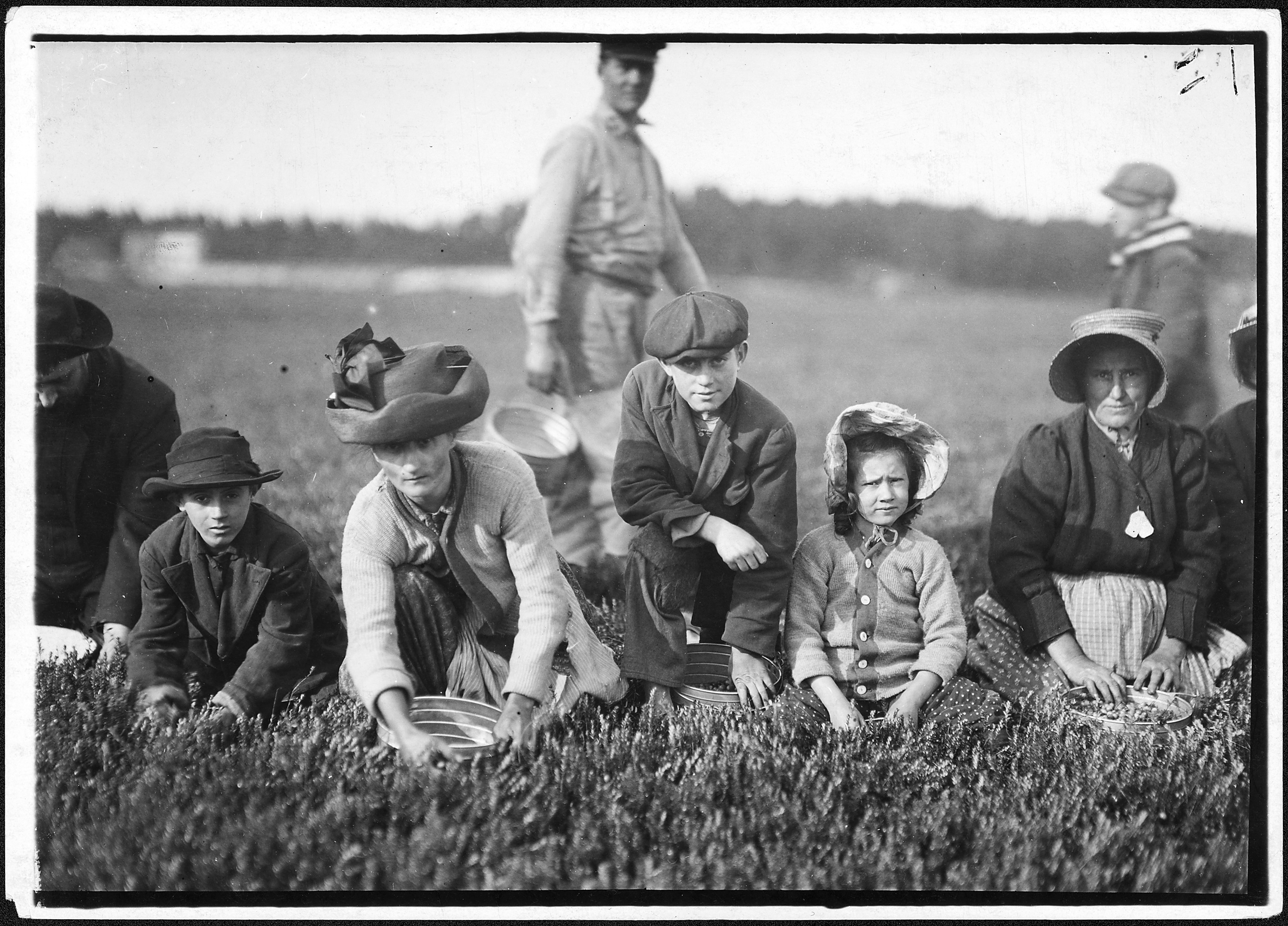 Annette Roy, the youngest worker, 7 years old. Picked last summer. Also Napoleon Ruel, 9 years old. South Carver, Mass. - NARA - 523468