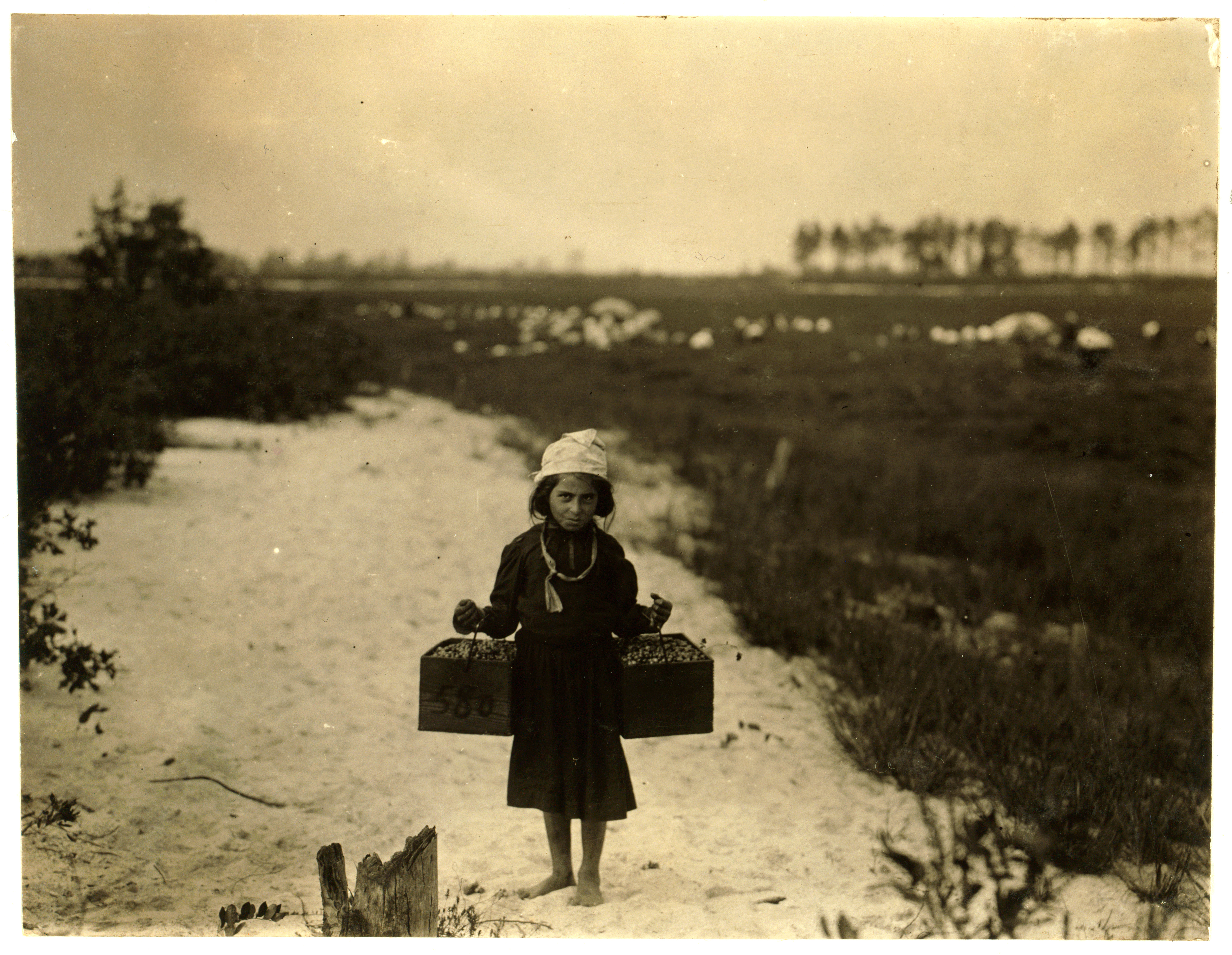 Lewis Hine, Rose Biodo, age 10, berry carrier, Browns Mills, New Jersey, 1910