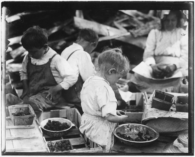 3 year old and 2 boys hulling berries at Johnson's Canning Camp. Seaford, Del. - NARA - 523318