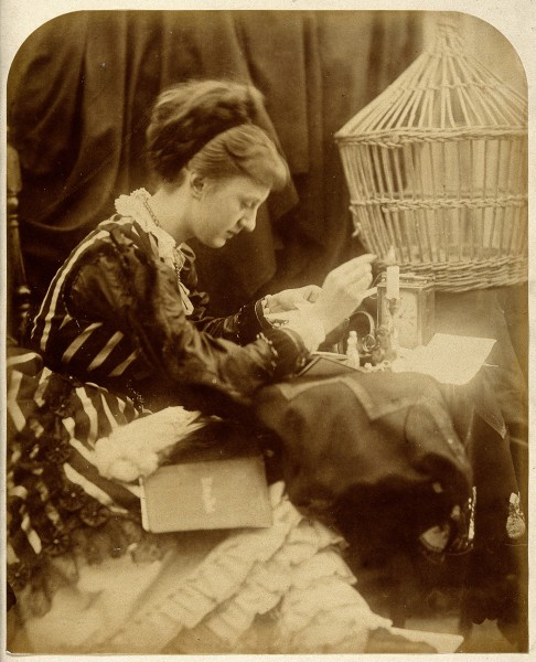 a woman reading a letter. Photograph by Julia Margaret Cameron Wellcome V0027590