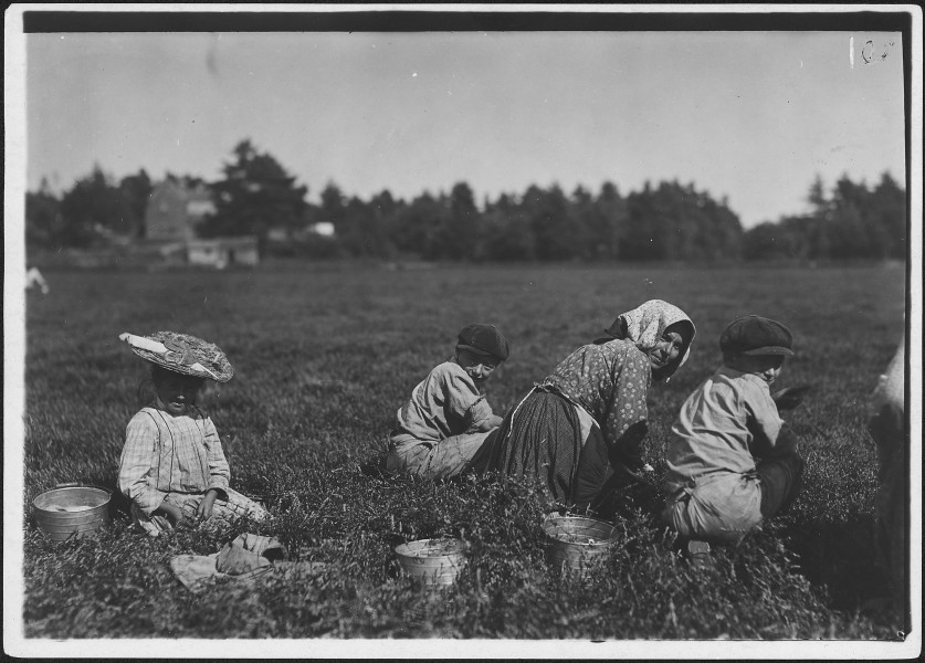Abbe, 10 years old who picks 10 pails a day. Also two young Italian illiterates. Rochester, Mass. - NARA - 523470