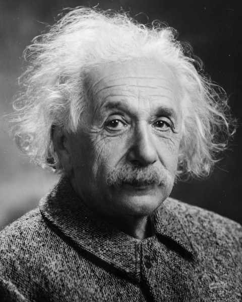 Albert Einstein Head (cropped)