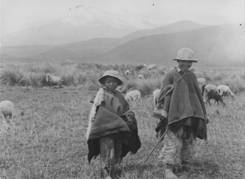 Ecuador - 42-5369 - Shepherd boys near Chimborazo mountain