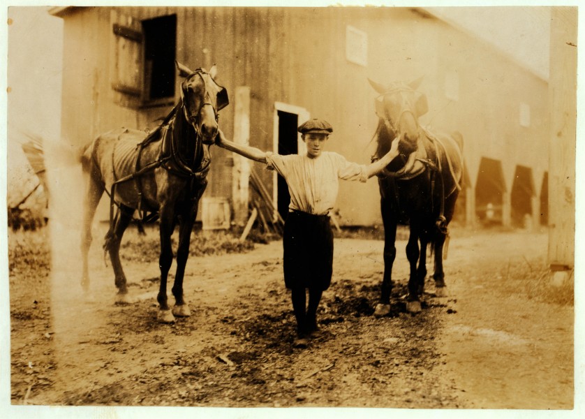 Lewis Hine, Edgar Kitchen, 13 years, drives dairy wagon from 7 a.m. to noon, Bowling Green, Kentucky, 1916