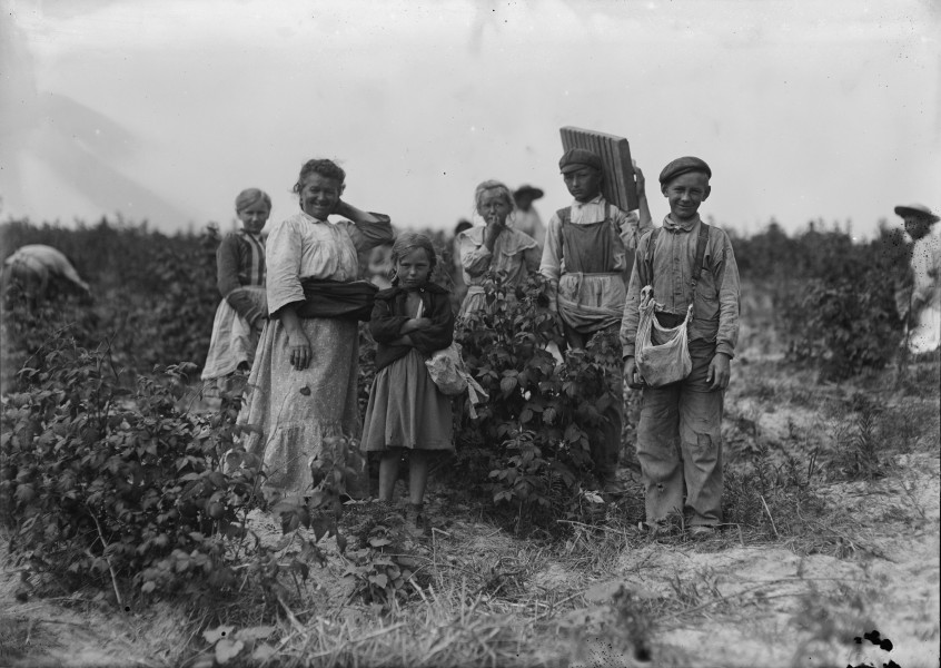 Polish berry pickers