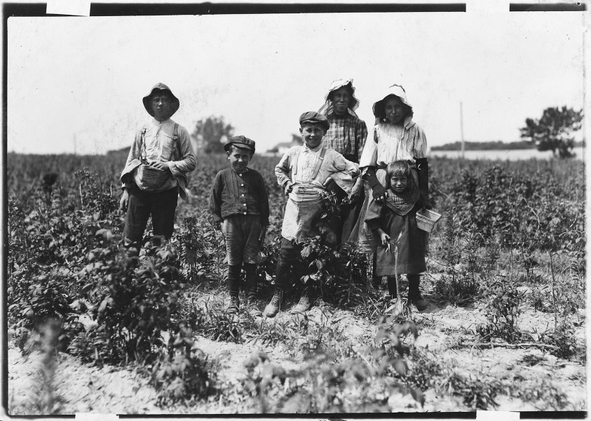 Slebzak family (Polish) working on Bottomley Farm. They have worked here 3 years and one winter at Avery Island, La.... - NARA - 523209