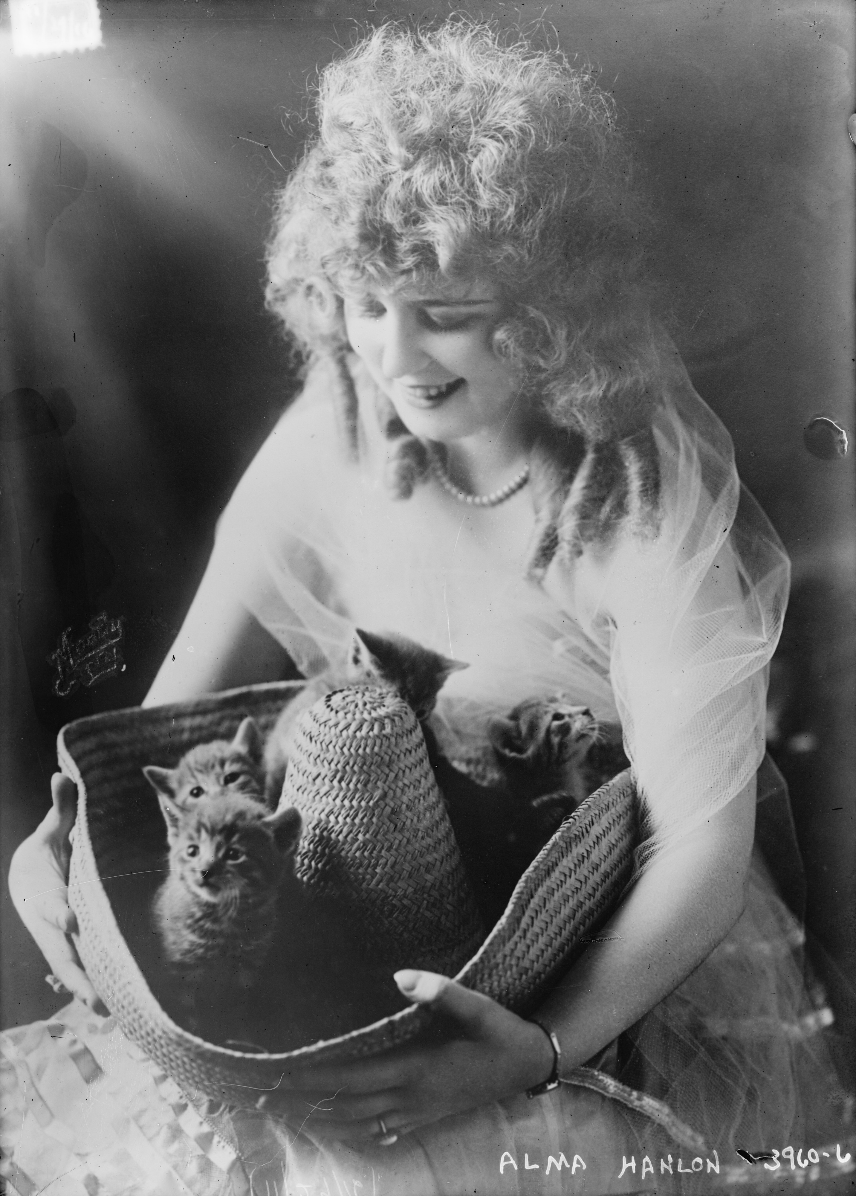 Actress Alma Hanlon with a Sombrero full of kittens
