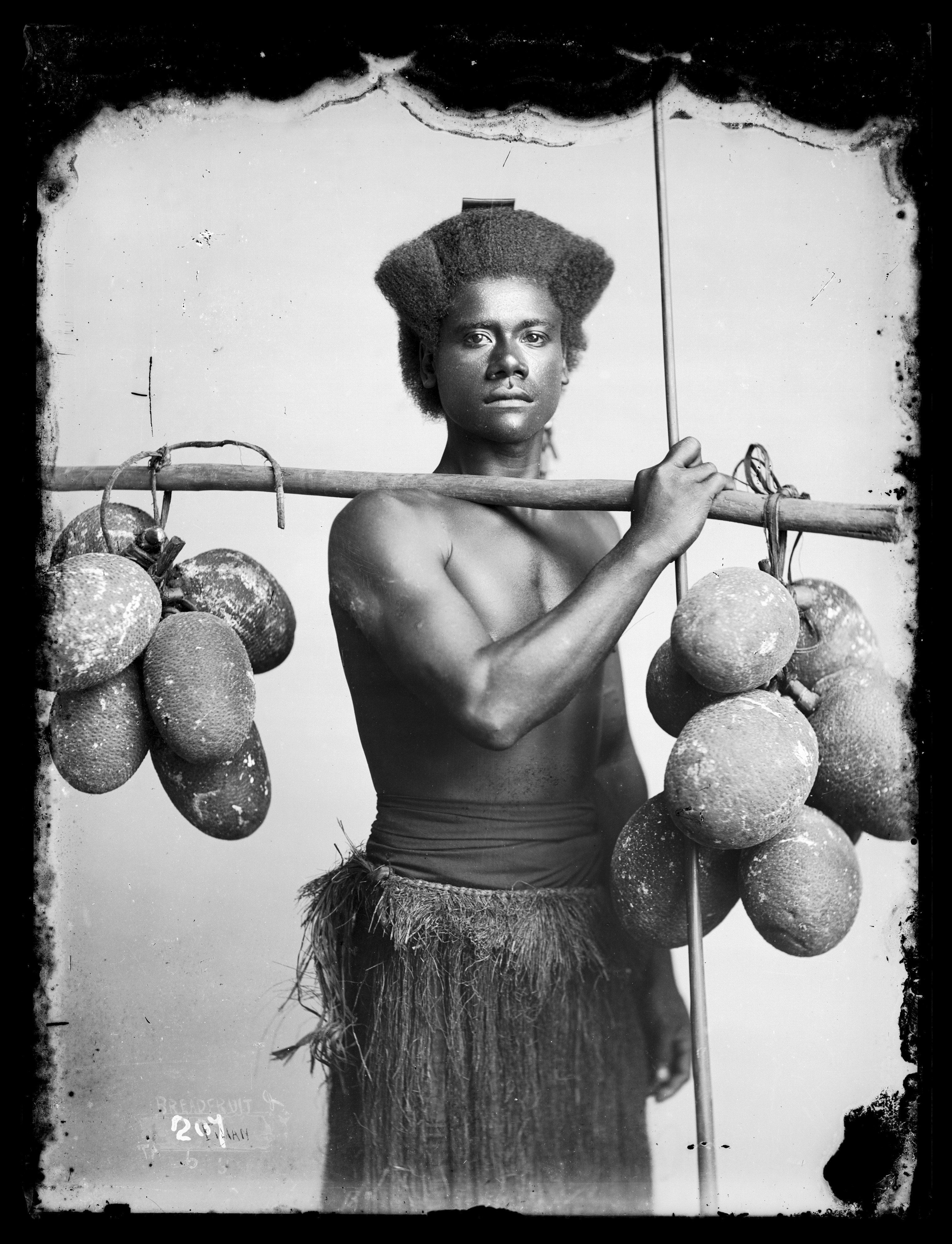 Fijian man carrying breadfruit, photograph by Thomas Andrew