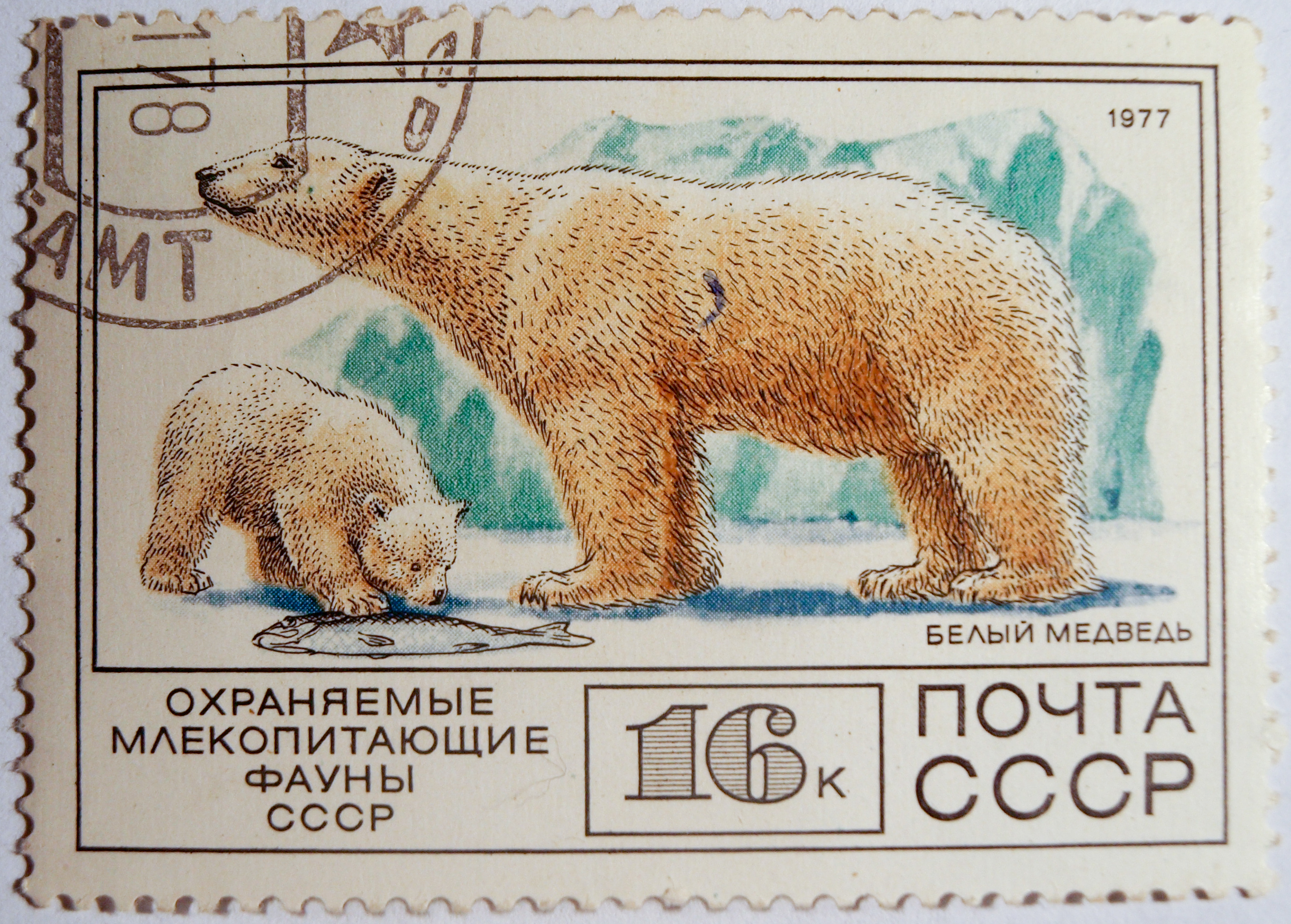 Почтовая марка СССР, Белый медведь, 1977 года. Серия -Фауна