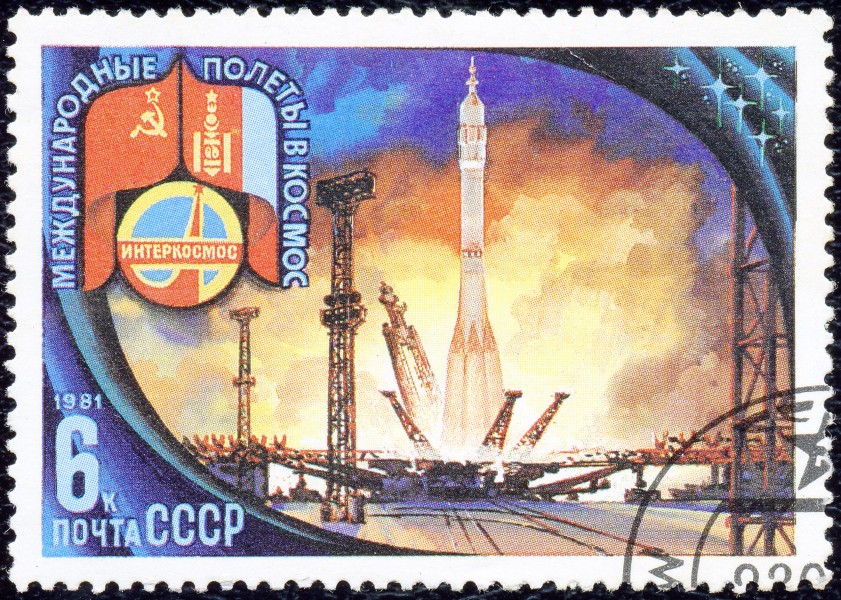1981. Интеркосмос