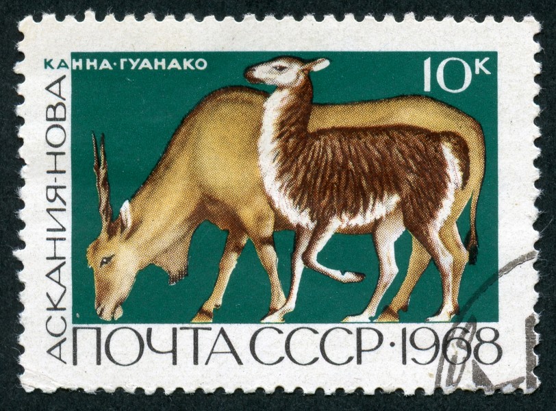 The Soviet Union 1968 CPA 3679 stamp (Eland and Guanaco (Askania-Nova)) cancelled