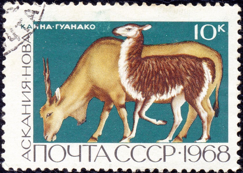 The Soviet Union 1968 CPA 3679 stamp (Eland and Guanaco (Askania-Nova)) cancelled light