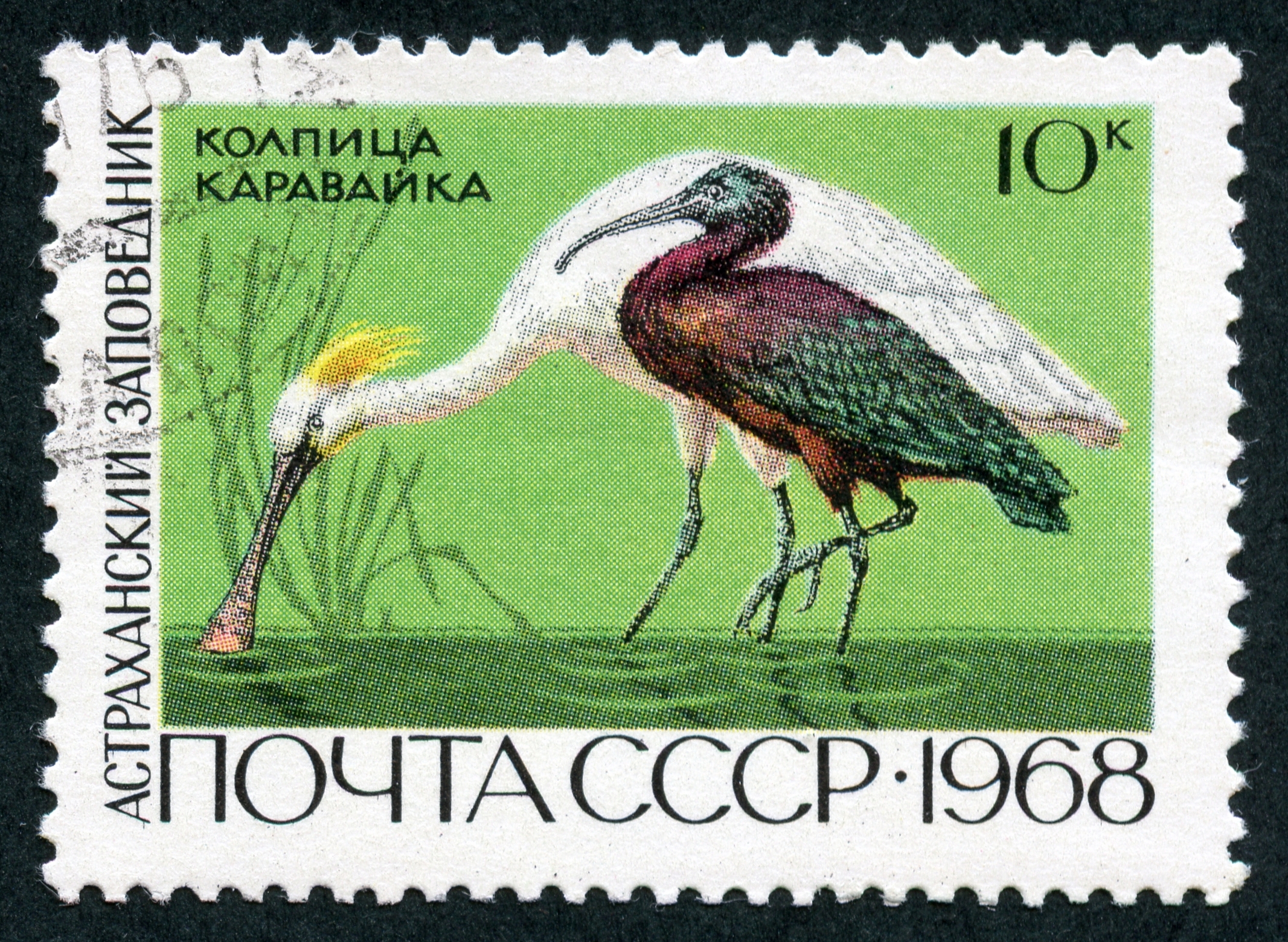 The Soviet Union 1968 CPA 3676 stamp (Eurasian Spoonbill and Glossy Ibis (Astrakhan Nature Reserve)) cancelled
