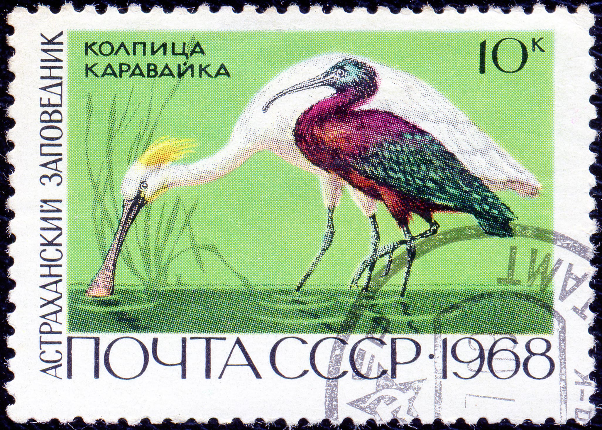 The Soviet Union 1968 CPA 3676 stamp (Eurasian Spoonbill and Glossy Ibis (Astrakhan Nature Reserve)) cancelled light