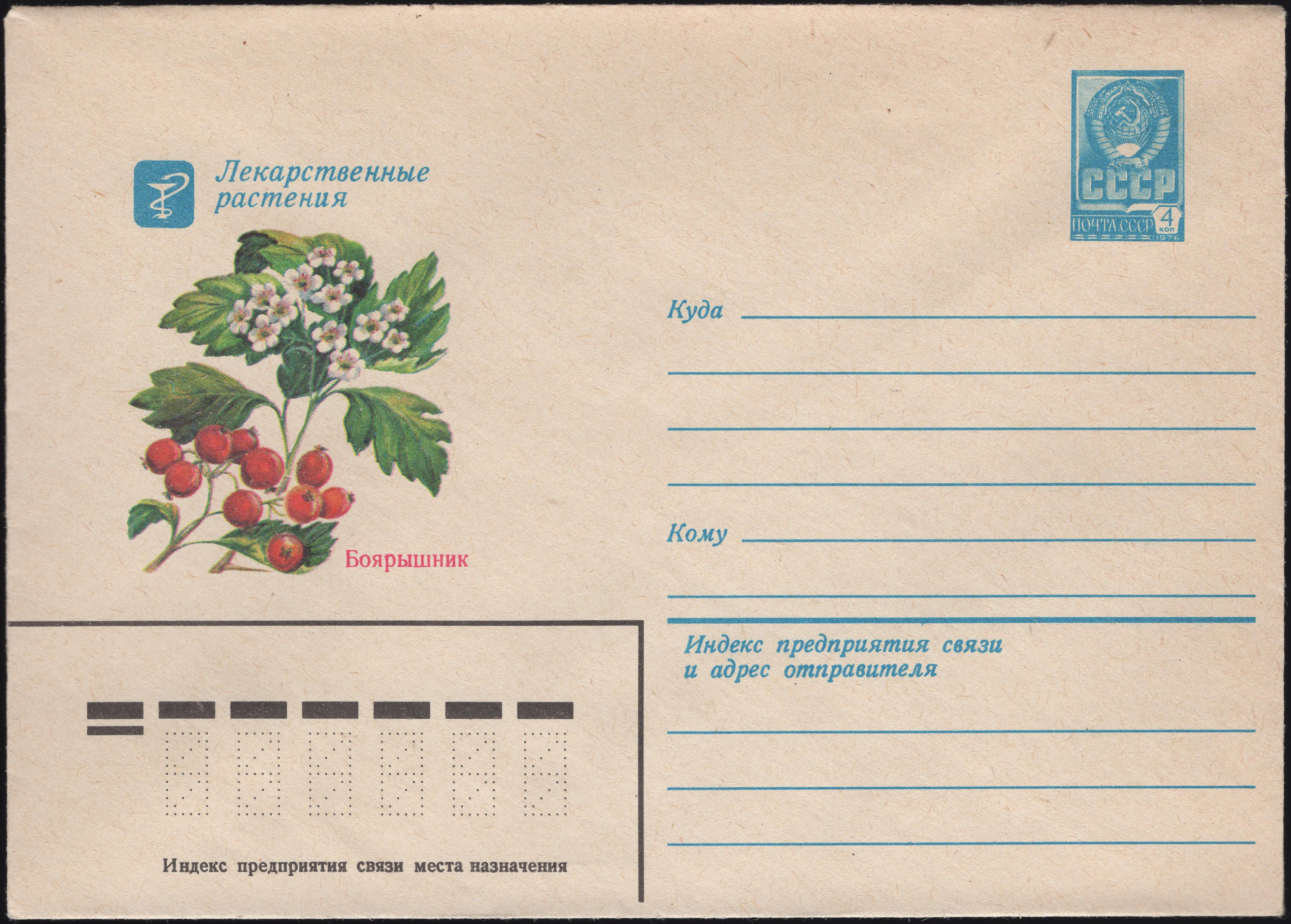 The Soviet Union 1980 Illustrated stamped envelope Lapkin 80-263(14278)face(Crataegus)