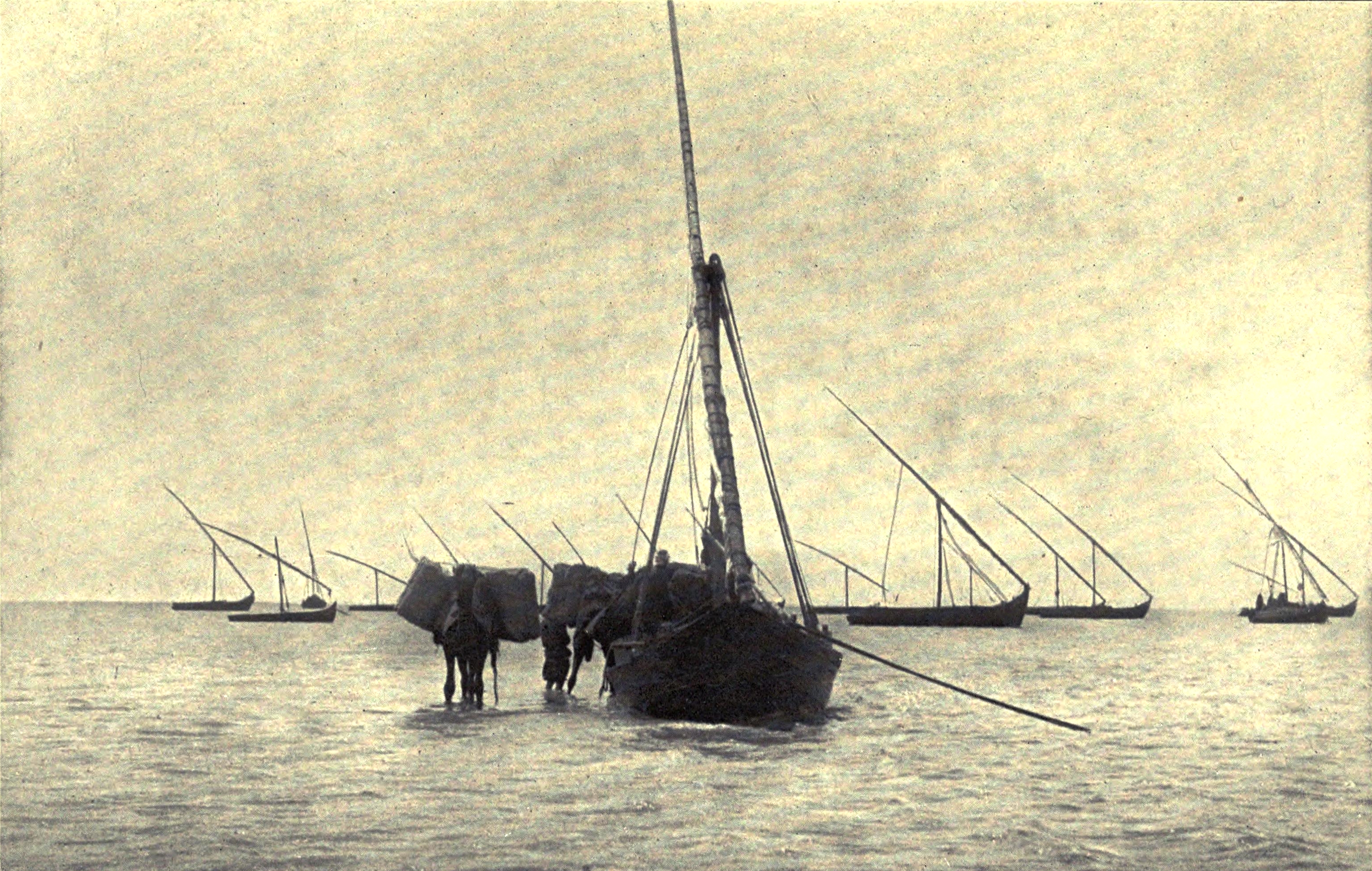 Camels Lading at Baltim. Accidents of an antiquary's life. 1910