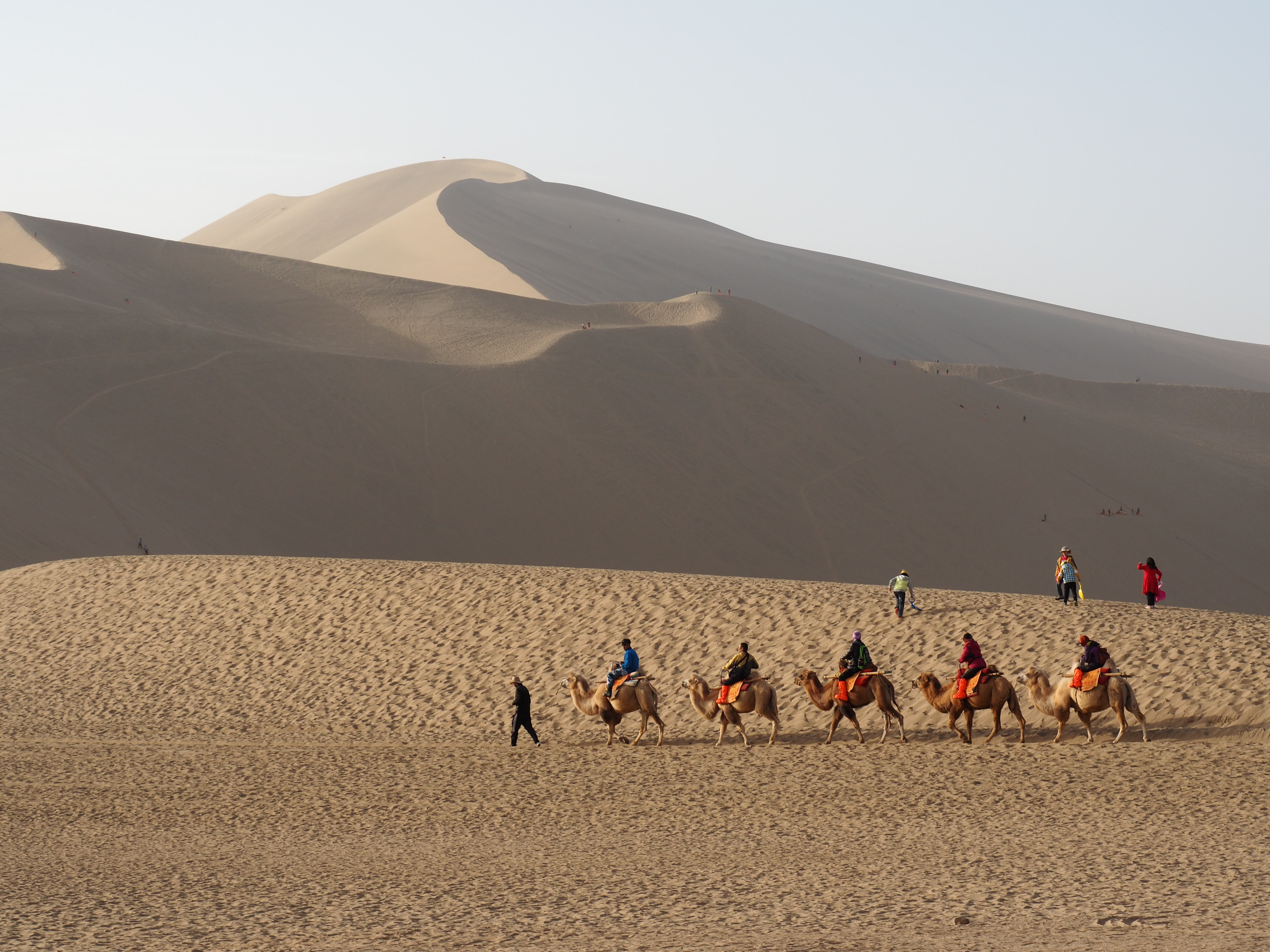 Gobi Desert (23344741063)