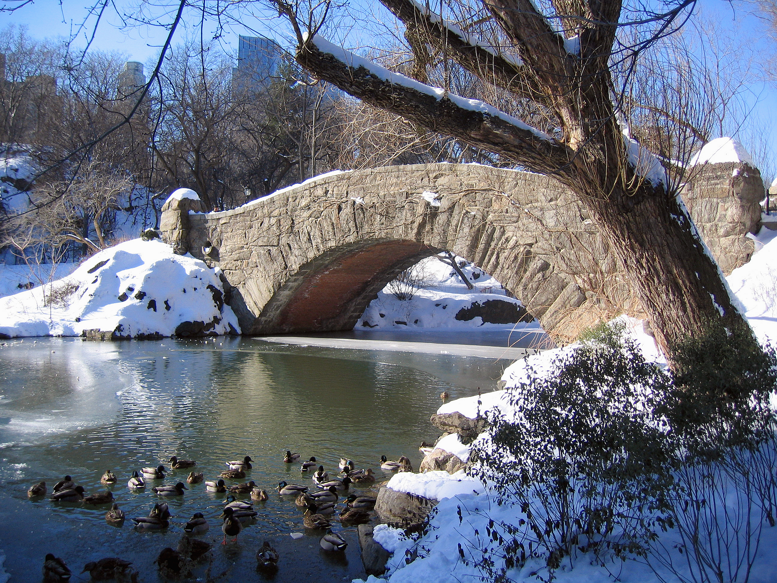 New York. Central Park. Bridge. Snowy (2797050543)