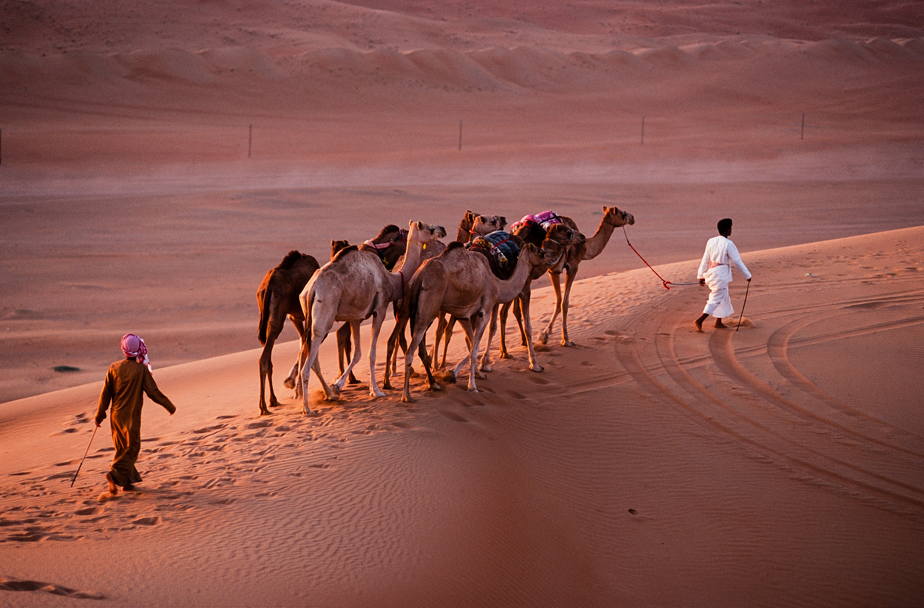 Oman 2010 wahiba sands nomads