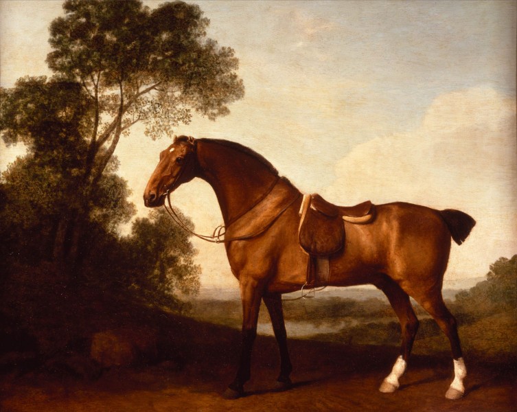 A Saddled Bay Hunter, by George Stubbs
