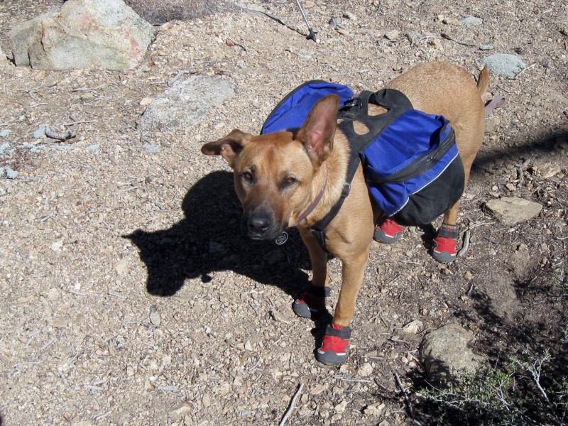 Bella geared up for the hike down
