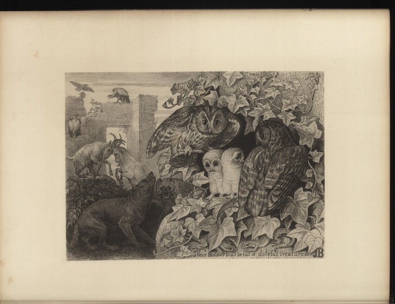 Bible beasts and birds - a new edition of illustrations of scripture by an animal painter (1886) (14563866427)