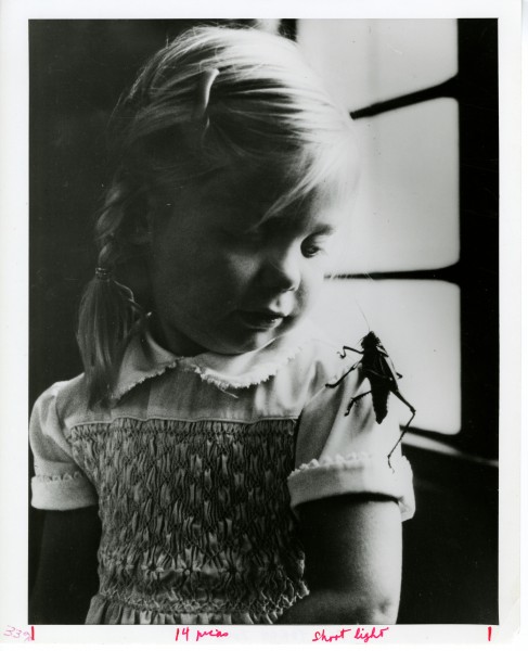 Child at Insect Zoo (8722703381)