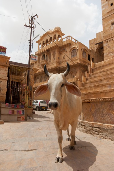 Jaisalmer fort20