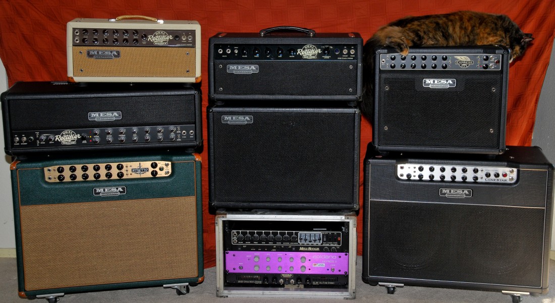 Mesa Boogie Amp Collection (and Ginger, my cat) (2834992442)