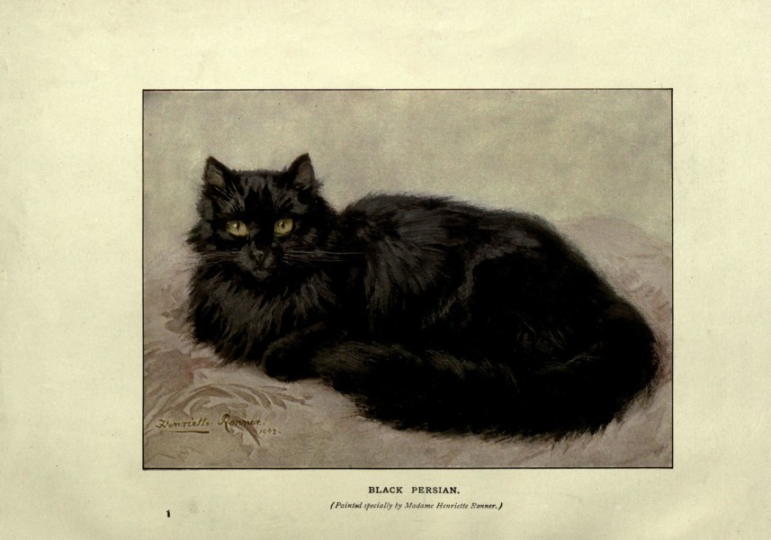 The book of the cat (Plate 1) (6263557124)