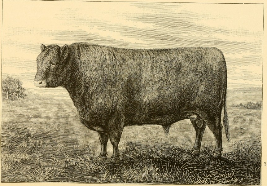 The breeds of live stock, and the principles of heredity (1887) (14594679249)