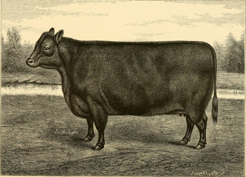 The breeds of live stock, and the principles of heredity (1887) (14594697708)