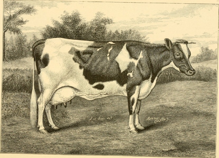 The breeds of live stock, and the principles of heredity (1887) (14594728019)