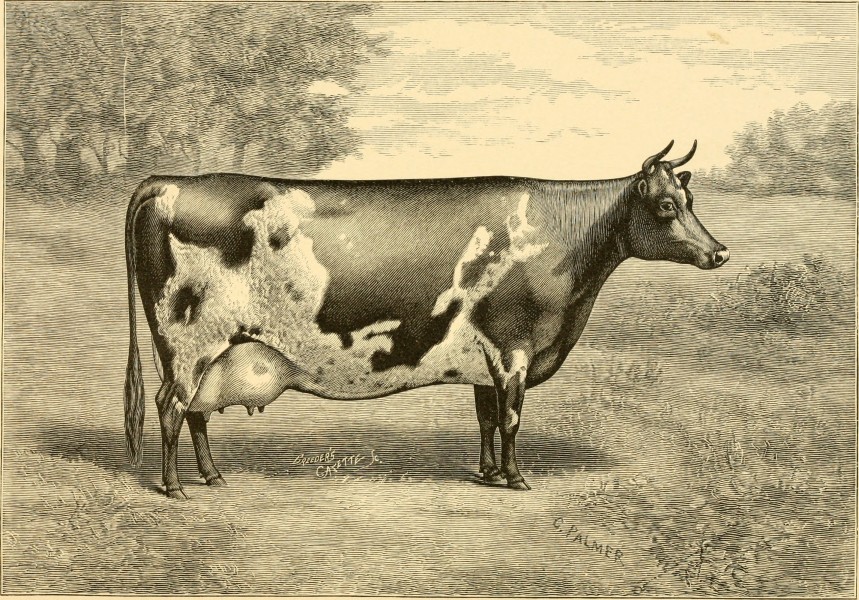 The breeds of live stock, and the principles of heredity (1887) (14594811328)