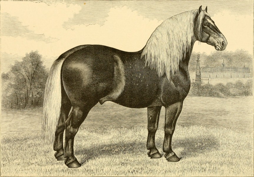 The breeds of live stock, and the principles of heredity (1887) (14758186536)
