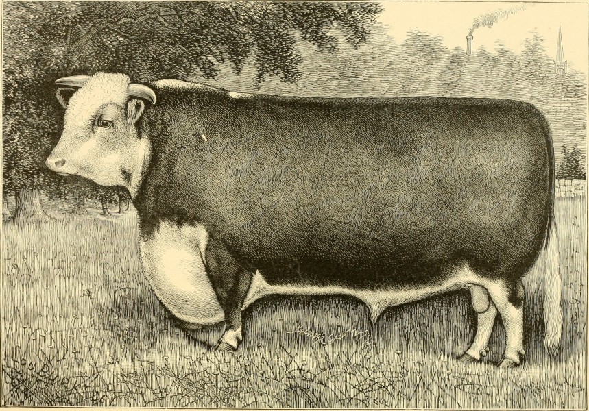 The breeds of live stock, and the principles of heredity (1887) (14758279086)
