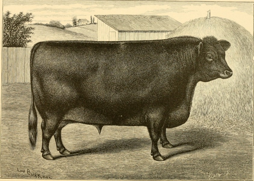 The breeds of live stock, and the principles of heredity (1887) (14758348426)