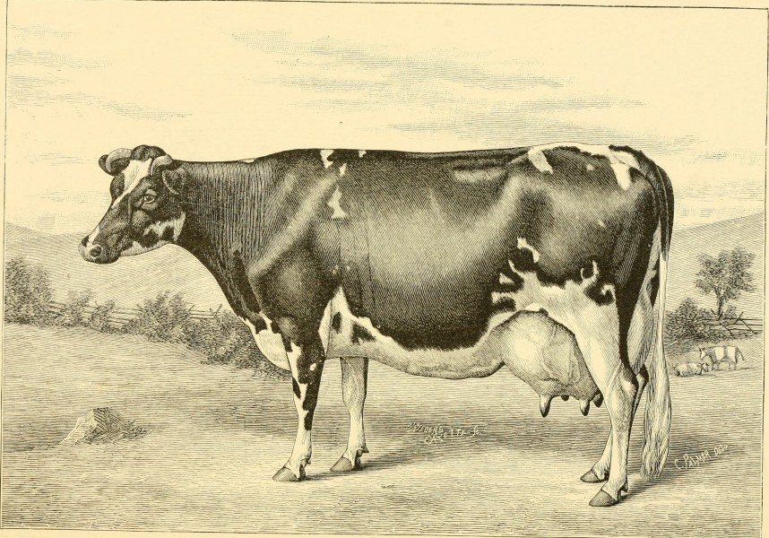 The breeds of live stock, and the principles of heredity (1887) (14758406656)