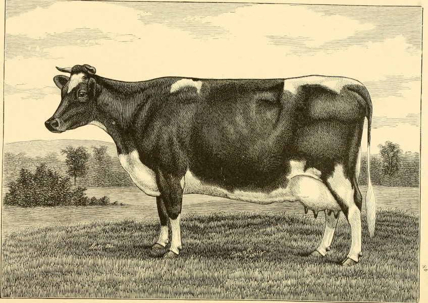 The breeds of live stock, and the principles of heredity (1887) (14758410446)