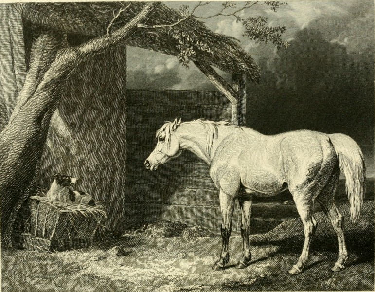 The Farmer's magazine (1859) (14774947391)