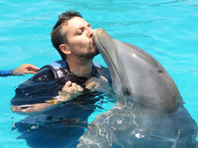 The Photographer with dolphin, Margarita island, Venezuela 05
