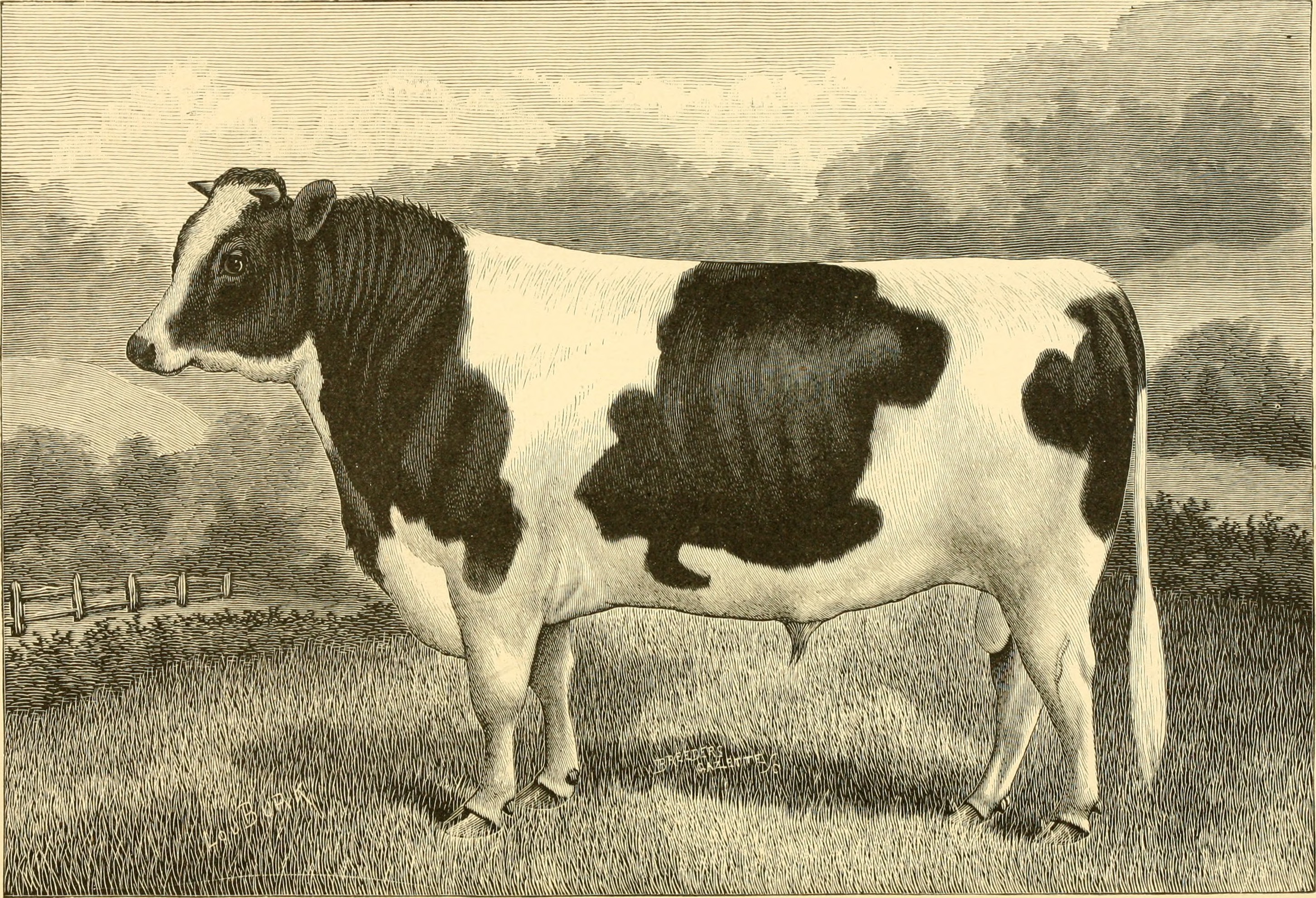 The breeds of live stock, and the principles of heredity (1887) (14594693380)